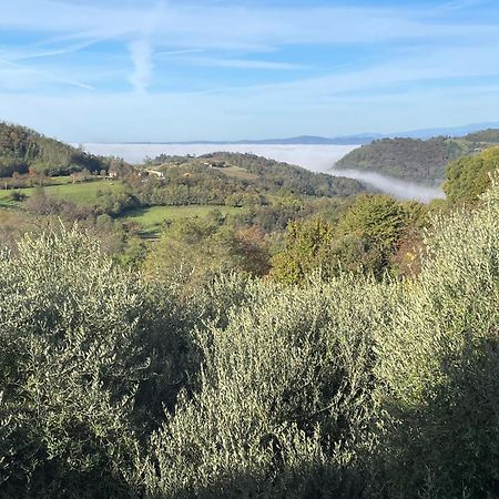 Agriturismo Ai Gradoni Teolo Luaran gambar