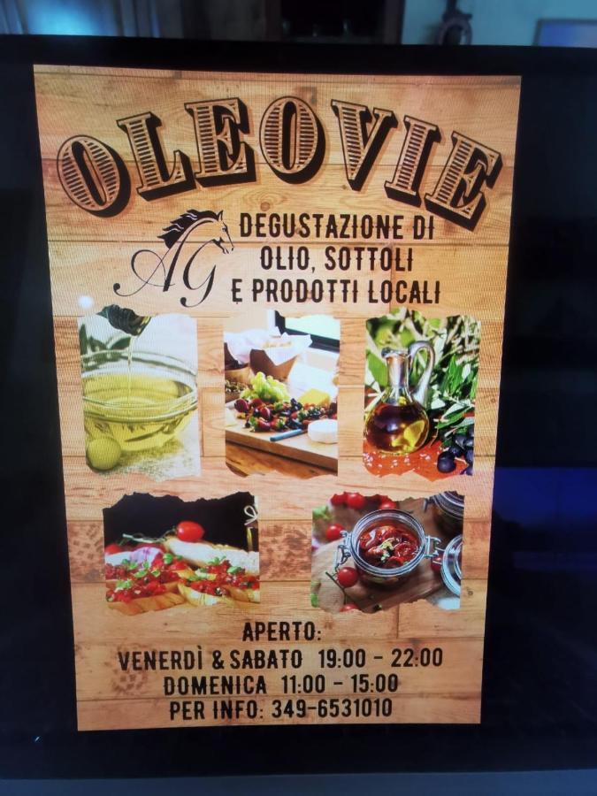 Agriturismo Ai Gradoni Teolo Luaran gambar